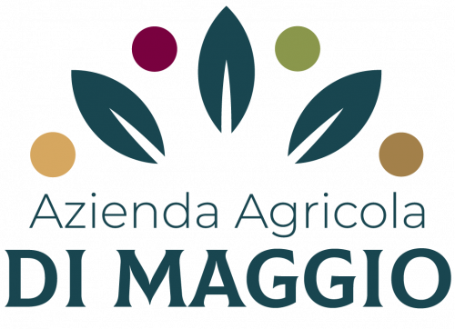 logo-e1607379905753